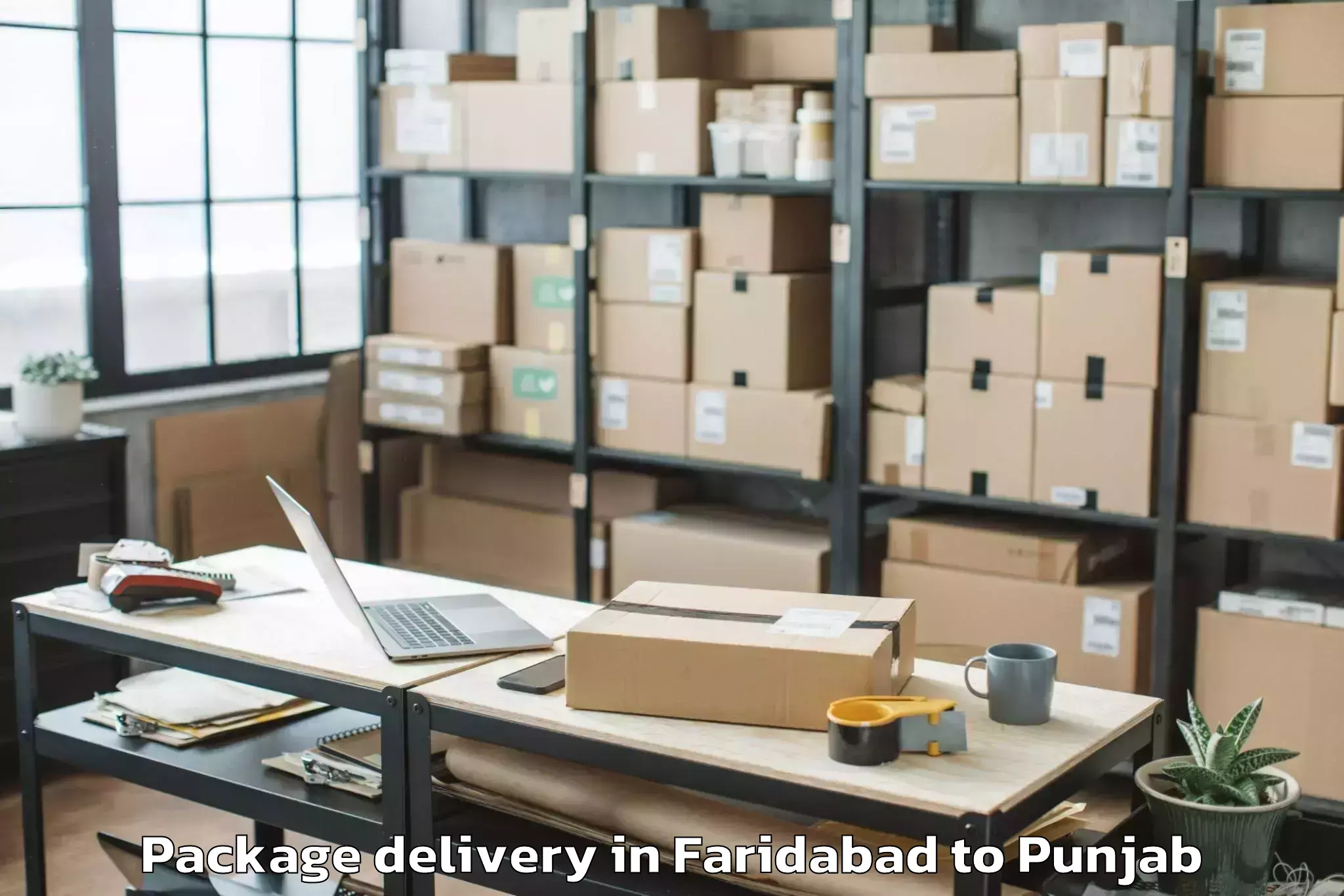 Professional Faridabad to Patera Package Delivery